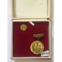 CZECHOSLOVAKIA: MEDAL FOR MERIT ON THE DEVELOPMENT OF PHYSICAL EDUCATION AND SPORT,  LAPEL PIN & BOX