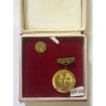CZECHOSLOVAKIA: MEDAL FOR MERIT ON THE DEVELOPMENT OF PHYSICAL EDUCATION AND SPORT,  LAPEL PIN & BOX
