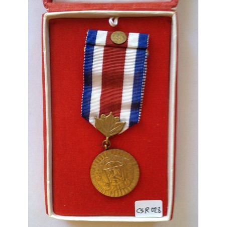 CZECHOSLOVAKIA MEDAL FOR DEDICATED WORK TO SOCIALISM. BOX & RIBBON BAR WITH MINIATURE