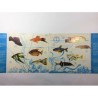 VINTAGE ALBUM STICKERS EXOTIC FISHES. PANRICO DONUTS 1973. FULL