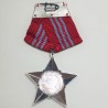 war-medal-resistance-of-vietnam-france-america-1st-class-with-ribbon-bar