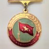 guerra vietnam medalla resolucion victoria 25 años servicio pin solapa