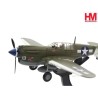 Hobby Master 1:72 HA5504 Curtiss P-40N Warhawk USAAF 49th FG, 7th FS, 42-105202 Rita-Orchid 13, Robert DeHaven, August 1943