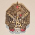 URSS CCCP INSIGNIA SOVIÉTICA GUARDIAS VETERANOS FRONTERAS СТАРШИЙ ПОГРАННАРЯДА