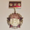 RUSSIAN FEDERATION INSIGNIA BADGE VETERAN OF 99th RIFLE DIVISION OF CITY OF ROSLAVL