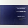 FEDERACIÓ RUSSA. MEDALLA SERVEI AL CREUER SUBMARÍ NUCLEAR CHELYABINSK (RUS 079)