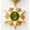 REPUBLIC OF VIETNAM CAMPAIGN STAR MEDAL. ORIGINAL LARGE CASE, RIBBON BAR & LAPEL PIN