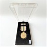 SOUTHWEST ASIA SERVICE MEDAL OF USA. LUXURY PLASTIC CASE and RIBBON BAR
