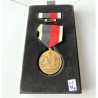 NAVY OCCUPATION SERVICE MEDAL OF USA . LUXURY PLASTIC CASE, PIN and RIBBON BAR