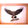 el-corb-de-tres-ulls-edicio-especial-coleccio-oficial-de-figures-de-joc-de-trons-eaglemoss-numero-especial