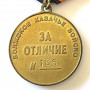 RUSSIAN FEDERATION. MEDAL FOR EXCELLENCE OF THE VOLGA COSSAK ARMY (RUS 343)
