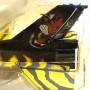 Witty Wings Sky Guardians WTW-72-010-004 F-16 Belgian Air Forces 31 Sqn 1998 Tigermeet